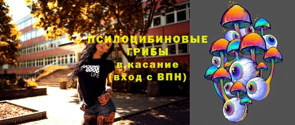 герыч Арсеньев