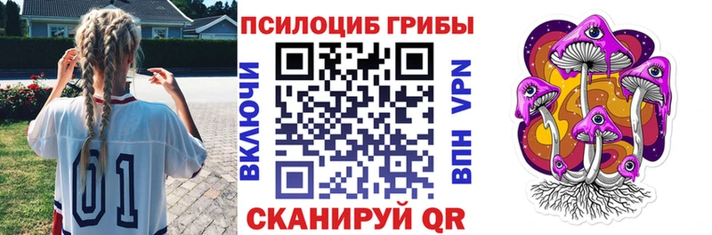 блэк спрут ссылка  Багратионовск  нарко площадка официальный сайт  Галлюциногенные грибы Psilocybe 